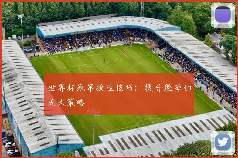 世界杯冠军投注技巧:提升胜率的五大策略