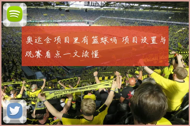 奥运会项目里有篮球吗 项目设置与观赛看点一文读懂