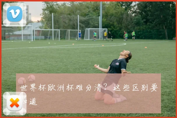 世界杯欧洲杯难分清?这些区别要知道