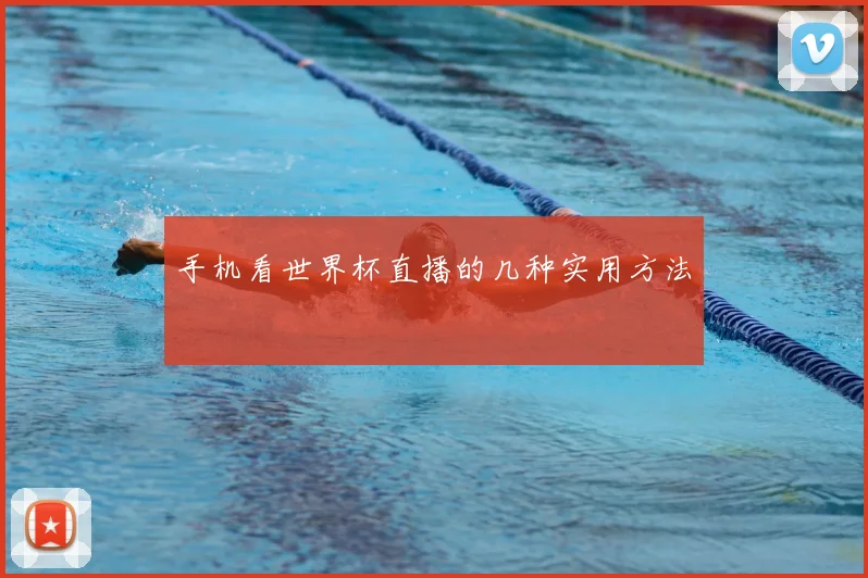手机看世界杯直播的几种实用方法